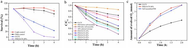 耽美漫画新闻
稿